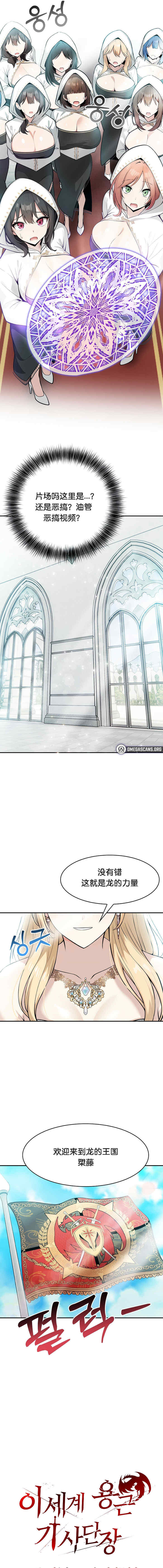 被召唤到异世界，然后成为半龙骑士长