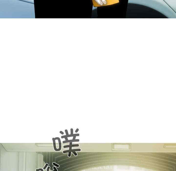 不可抗拒的吸引/放任诱惑