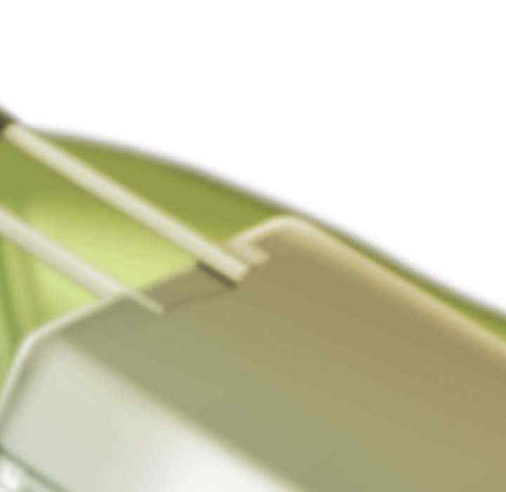 不可抗拒的吸引/放任诱惑