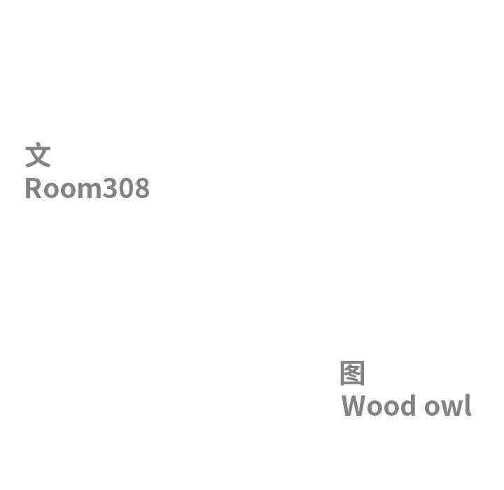 最强男人/天降奇迹