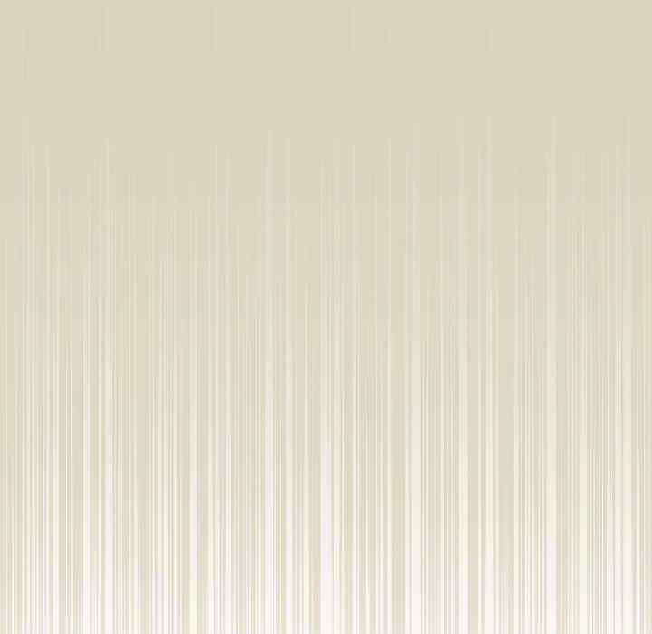 傻瓜病毒/傻傻病毒