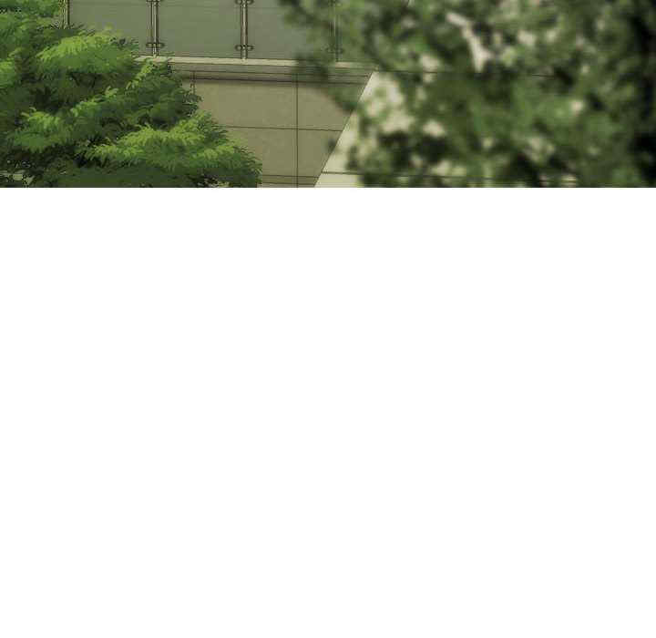 不可抗拒的吸引/放任诱惑