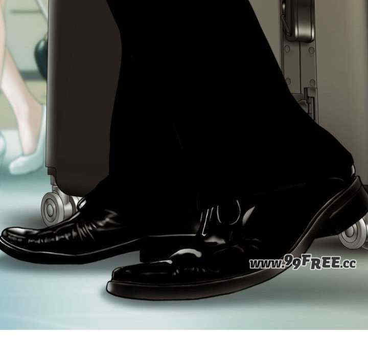 不可抗拒的吸引/放任诱惑