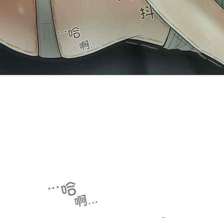 不可抗拒的吸引/放任诱惑