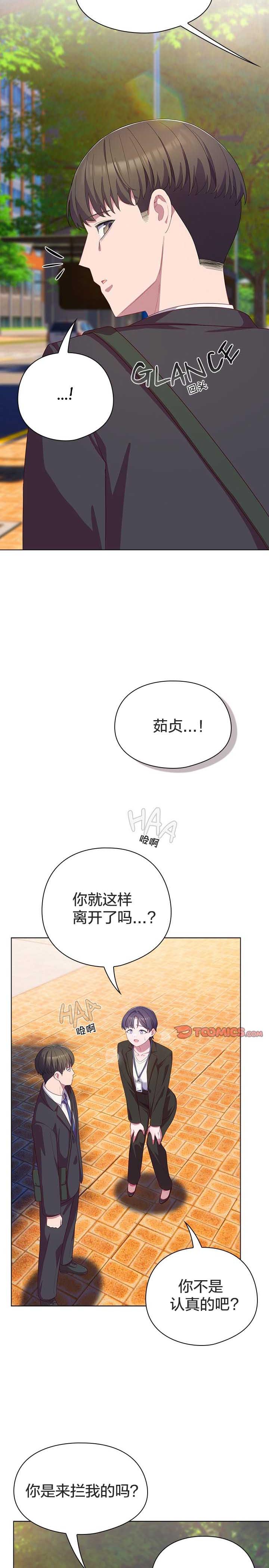 猫猫牵红线/喵来的恋爱