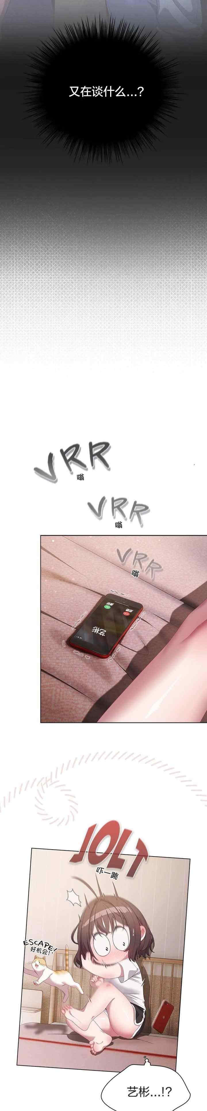 猫猫牵红线/喵来的恋爱