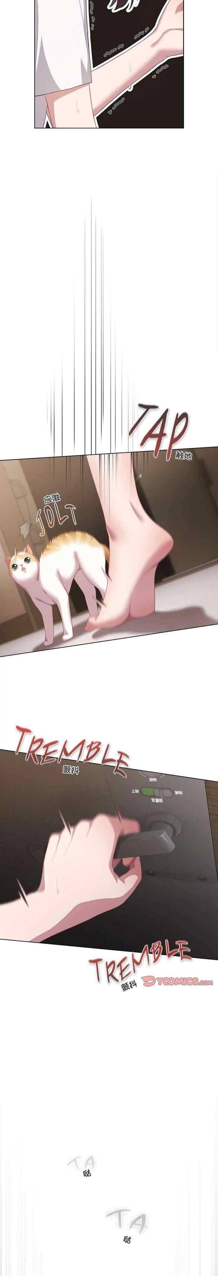 猫猫牵红线/喵来的恋爱