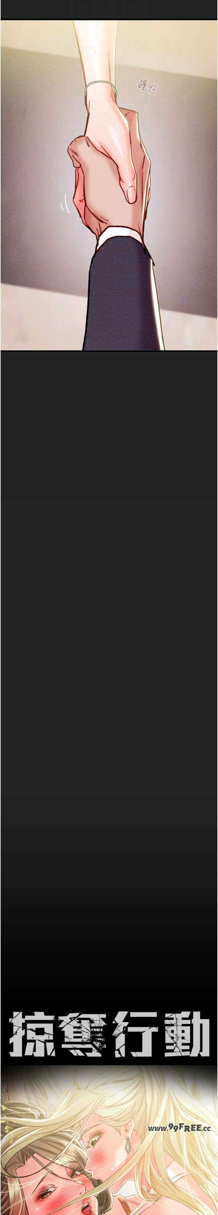 掠夺行动/抢夺的滋味