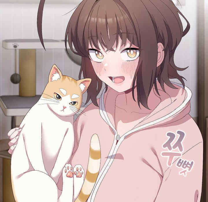 猫猫牵红线/喵来的恋爱