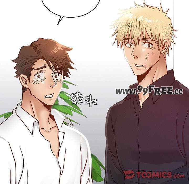 年轻代表/不该爱上你