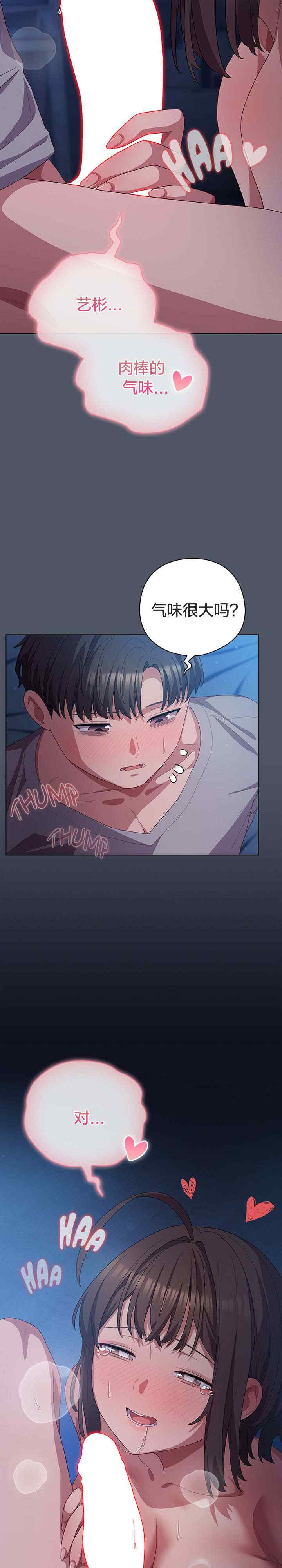 猫猫牵红线/喵来的恋爱