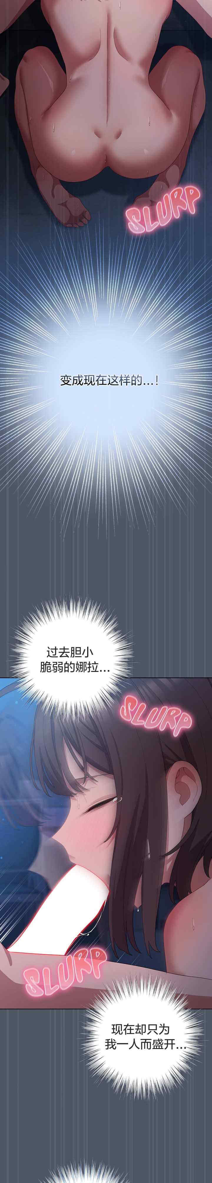 猫猫牵红线/喵来的恋爱