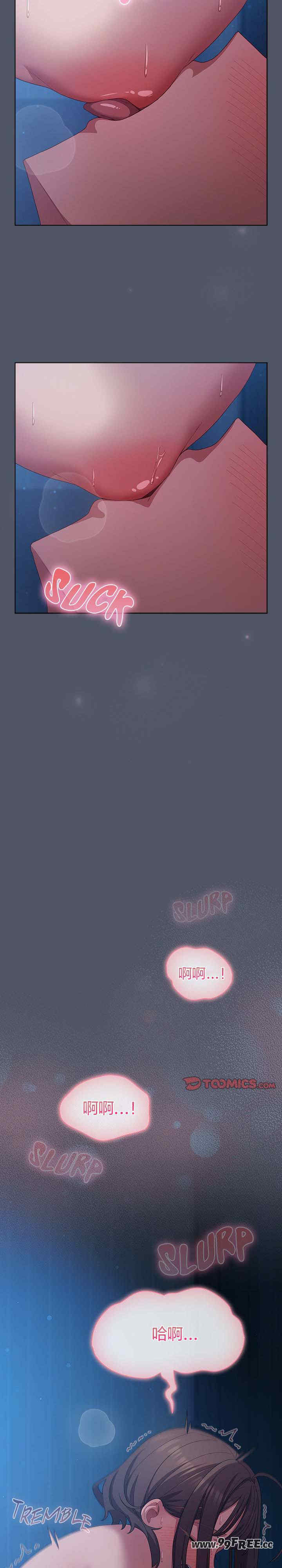 猫猫牵红线/喵来的恋爱