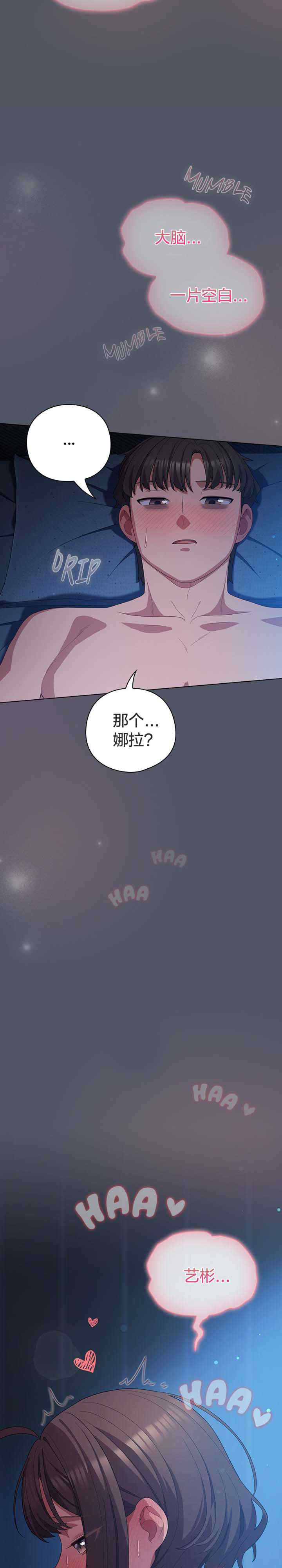 猫猫牵红线/喵来的恋爱