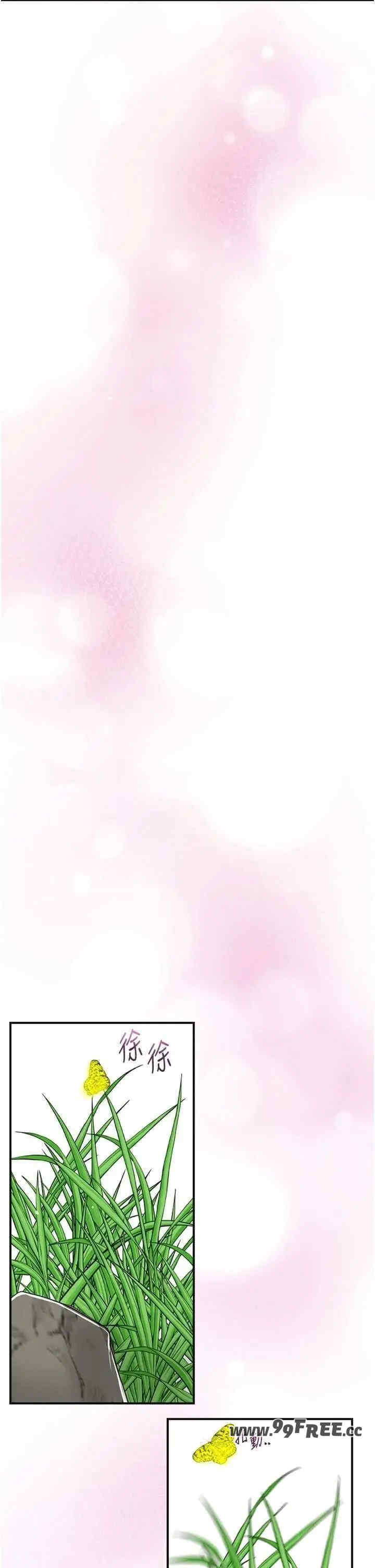 花容湿色:取花点