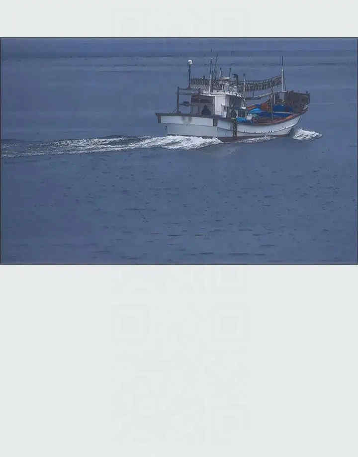 纵夏夜之梦(无码版)