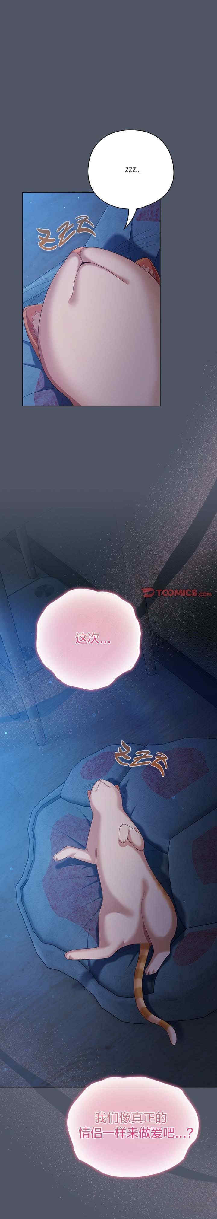 猫猫牵红线/喵来的恋爱