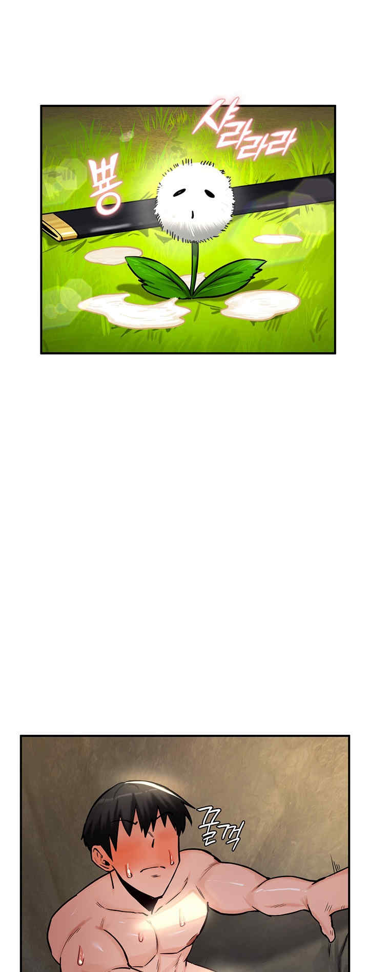 重生士兵的雌性征服日志!/异世界重生之后宫养成记