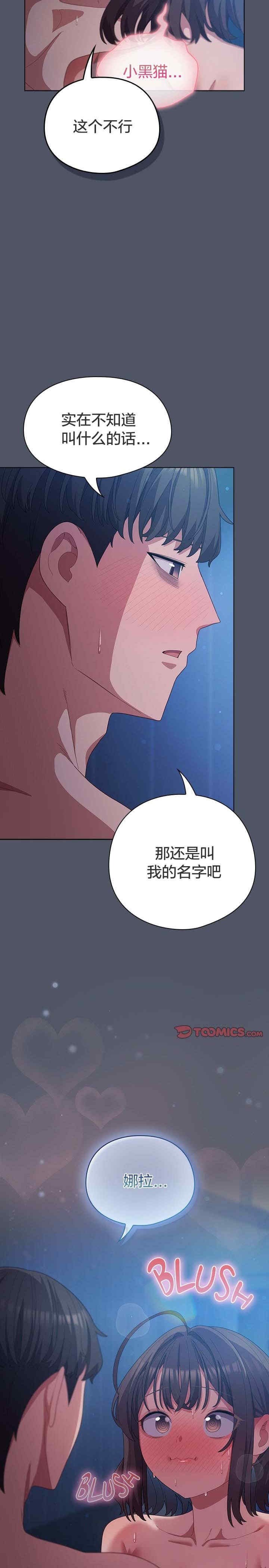 猫猫牵红线/喵来的恋爱