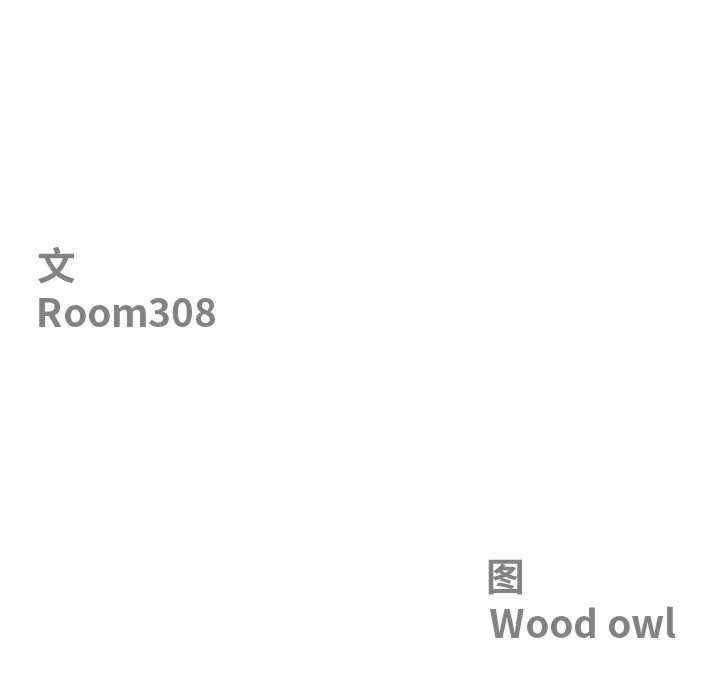 最强男人/天降奇迹