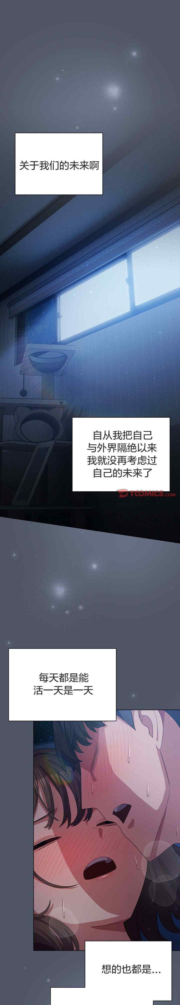 猫猫牵红线/喵来的恋爱