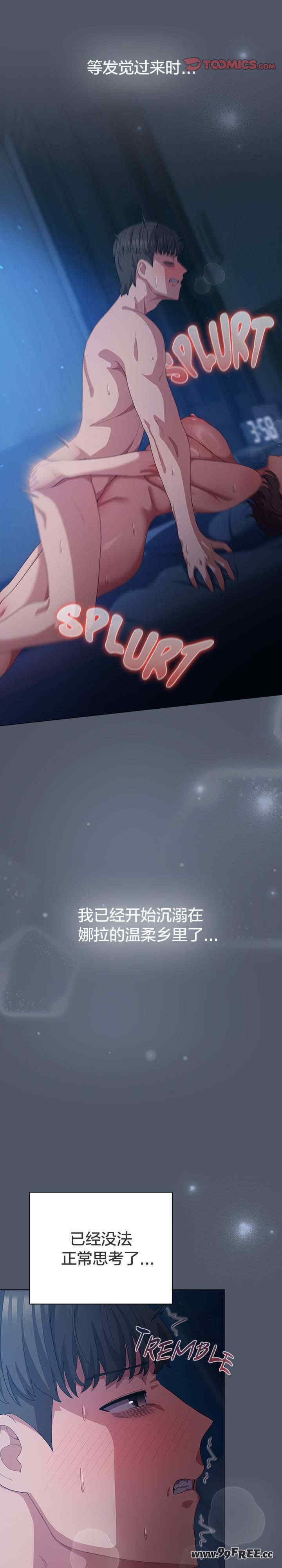 猫猫牵红线/喵来的恋爱