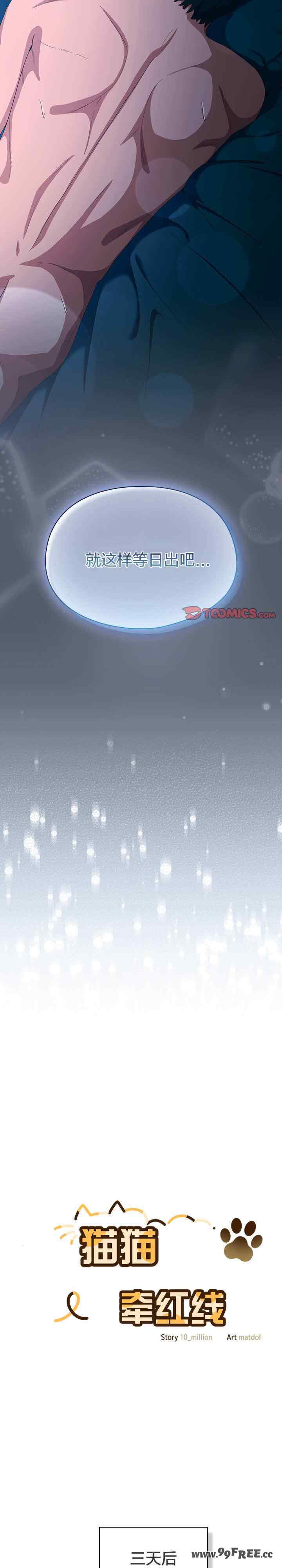 猫猫牵红线/喵来的恋爱