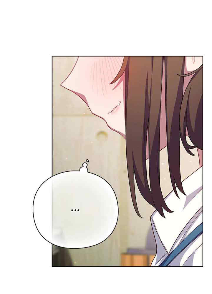 猫猫牵红线/喵来的恋爱