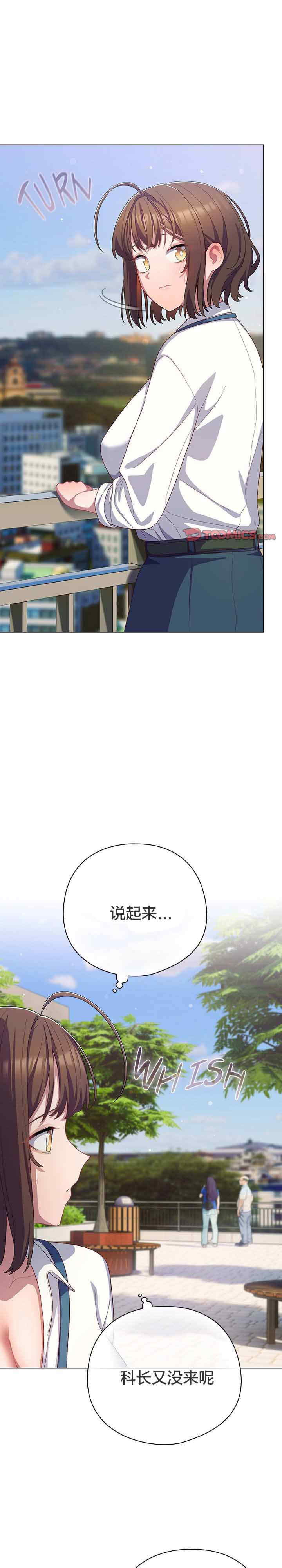 猫猫牵红线/喵来的恋爱