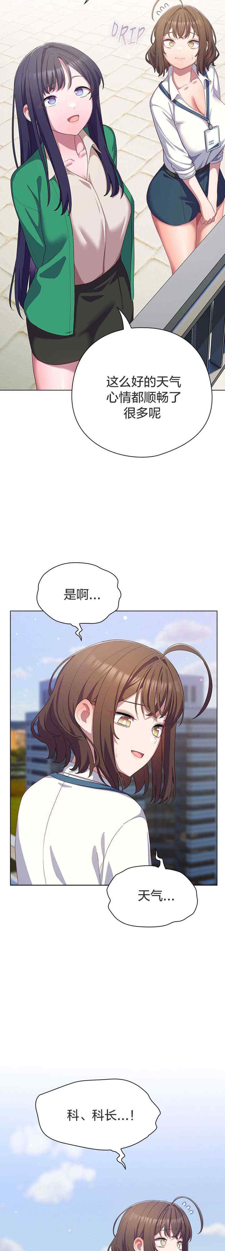 猫猫牵红线/喵来的恋爱