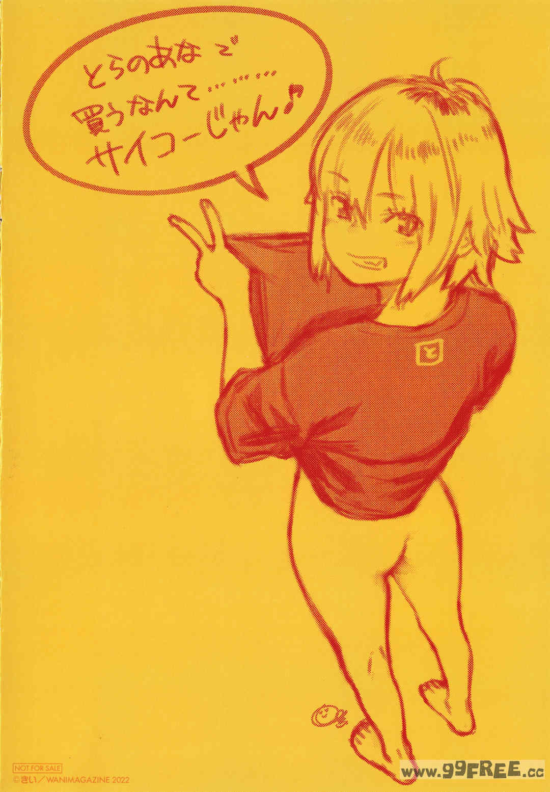 [きい] 不完全マーブル