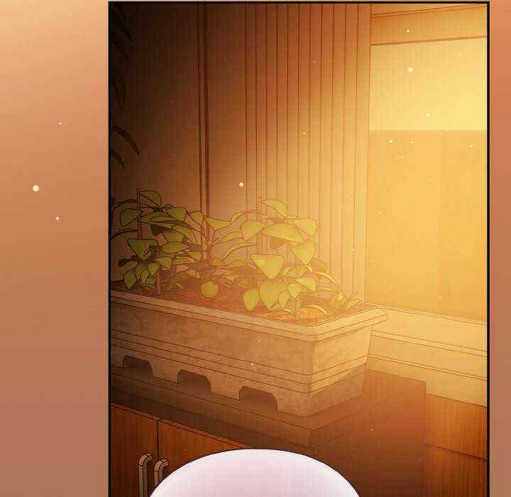 傻瓜病毒/傻傻病毒