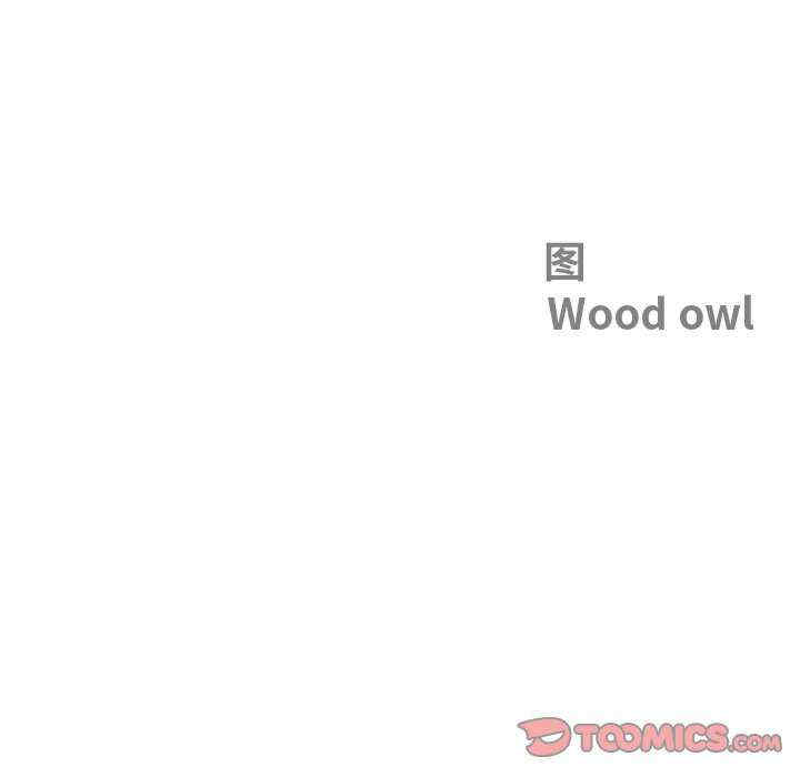 最强男人/天降奇迹