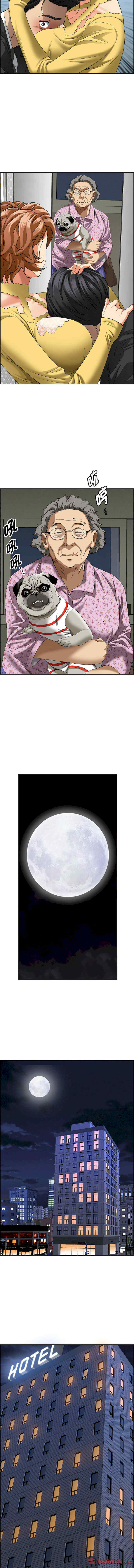 贵妇的专属保镖