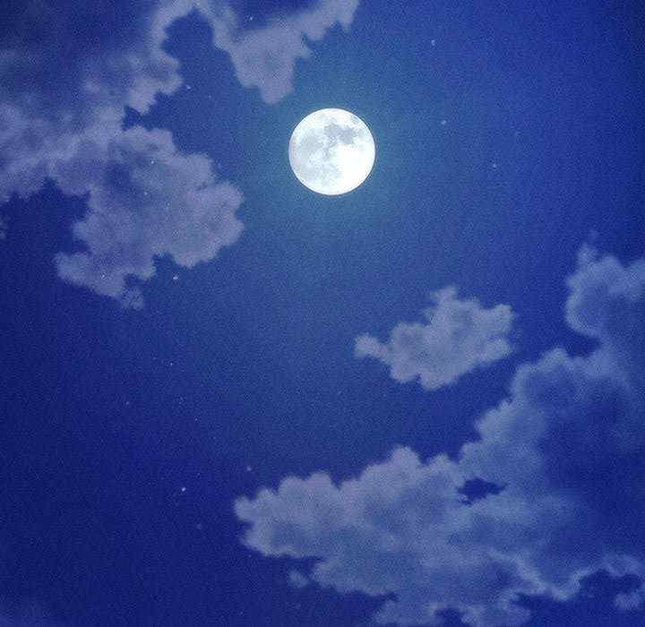 会长家的小儿子