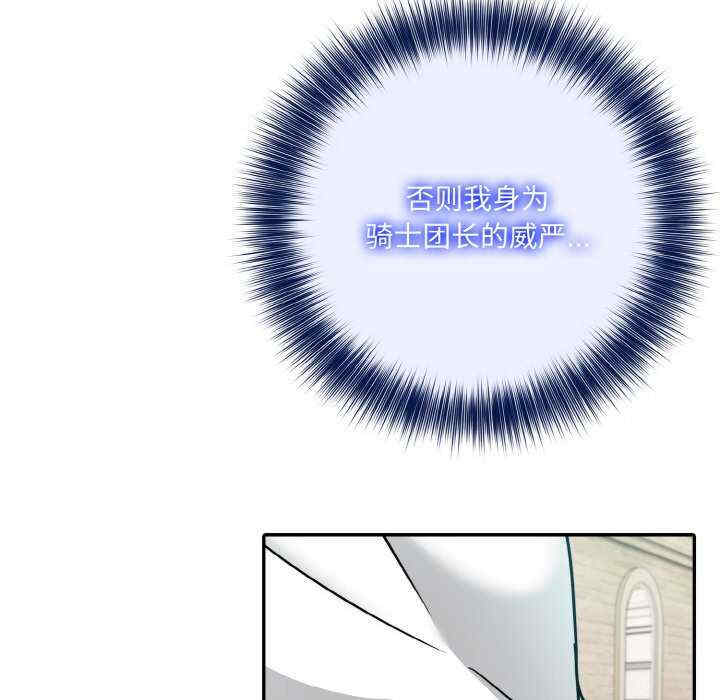 异世界骑士团长