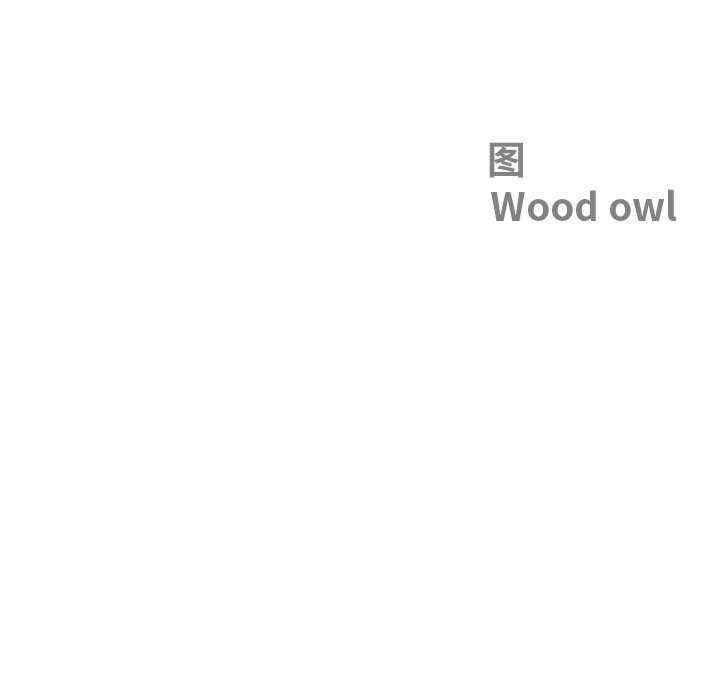 最强男人/天降奇迹