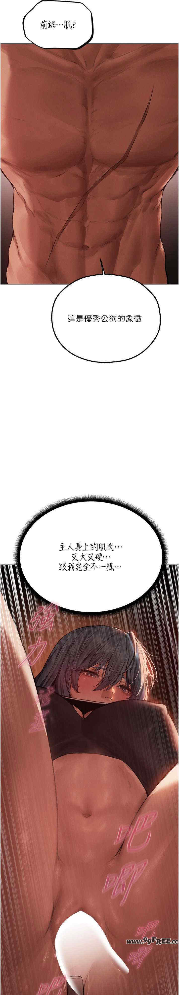 异界猎妻人/人妻猎人