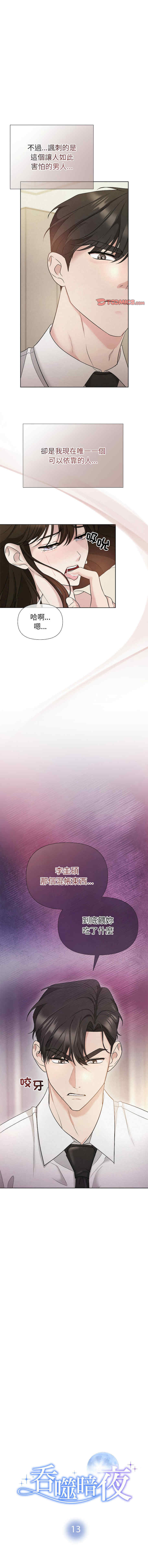 吞噬暗夜/被吞噬的夜