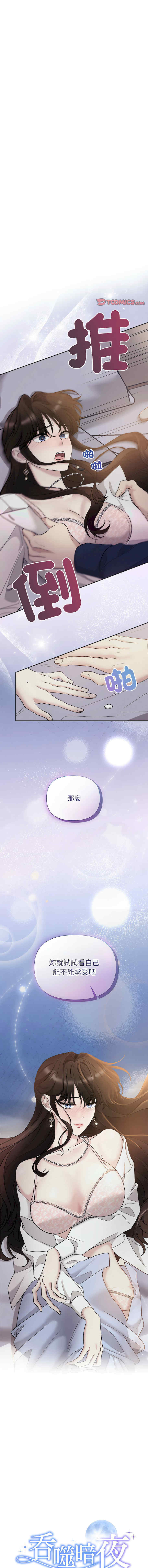 吞噬暗夜/被吞噬的夜