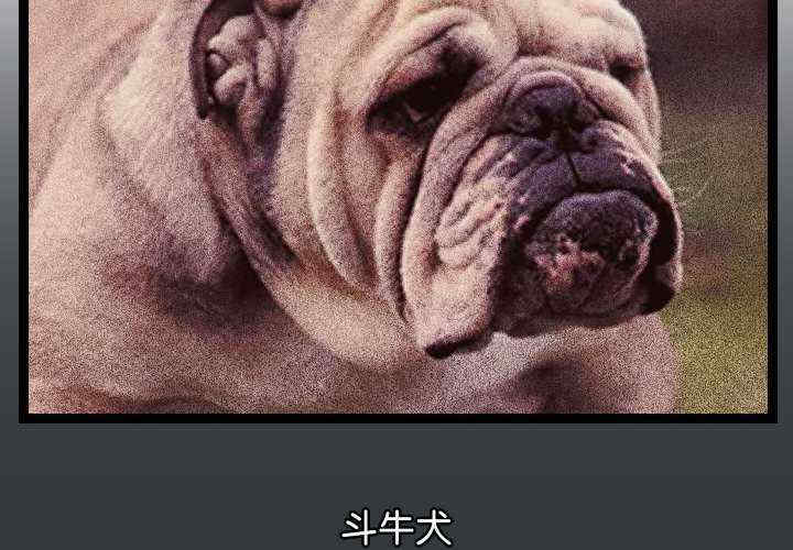 分身使我无限变强