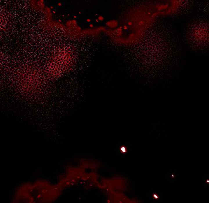 分身使我无限变强