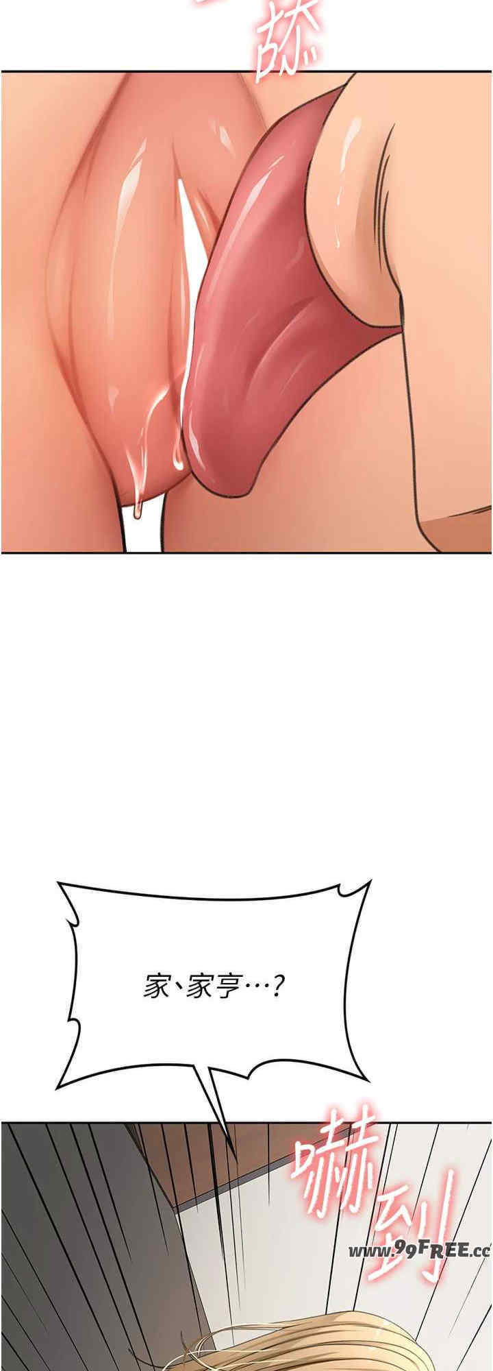 顶加套房的春天