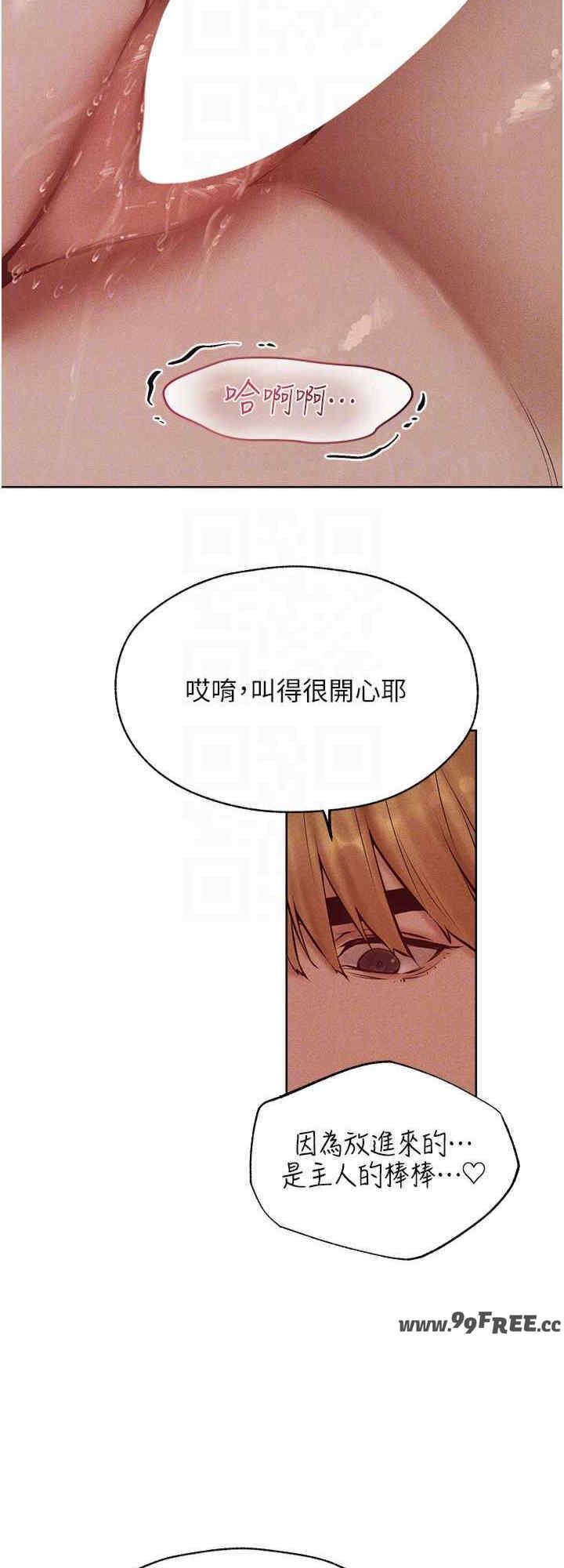 异界猎妻人/人妻猎人