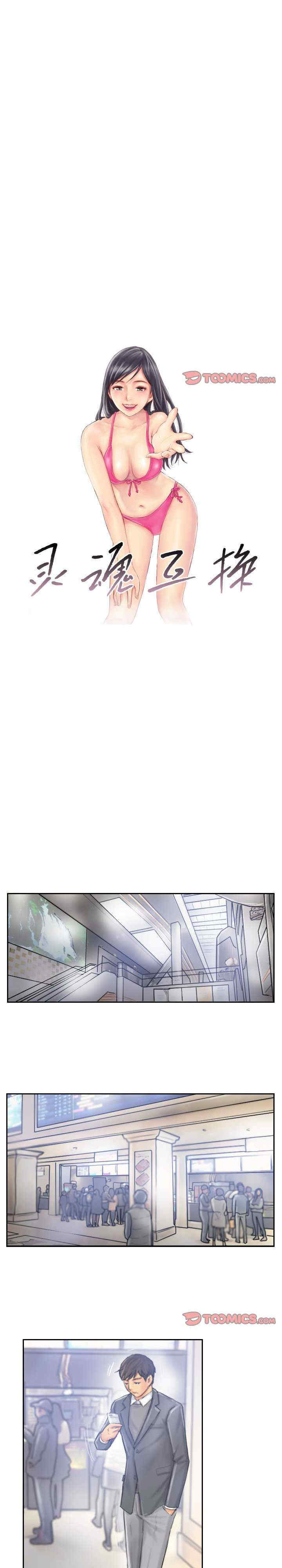 灵魂互换/窃取人生