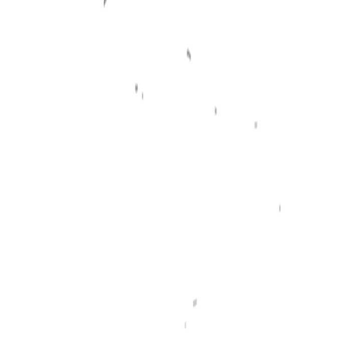 傻瓜病毒/傻傻病毒