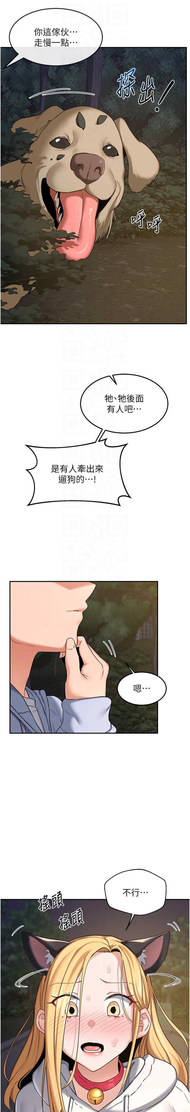 熟女交换计划