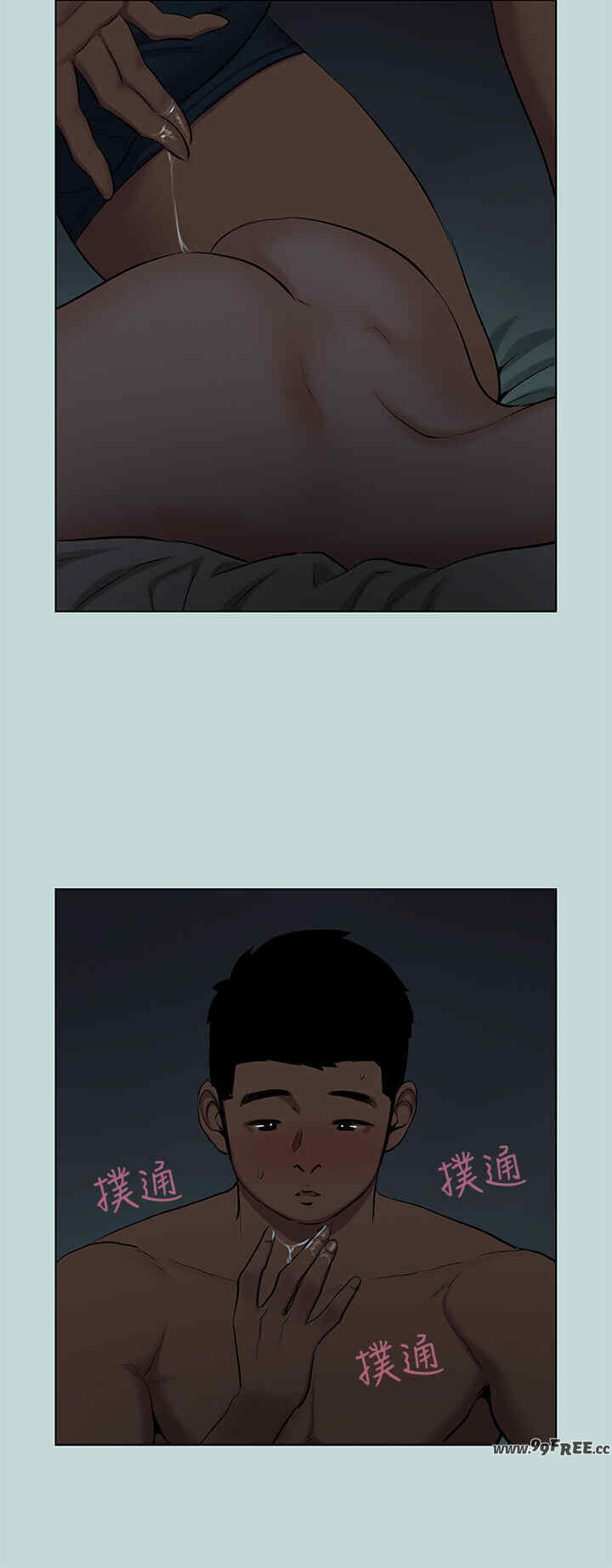 纵夏夜之梦(无码版)