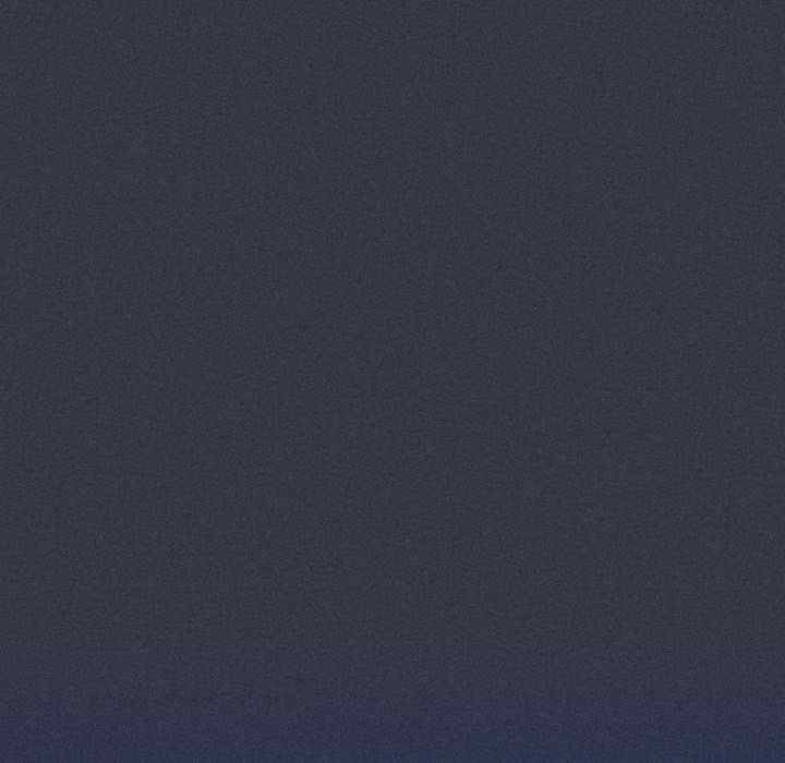 会长家的小儿子