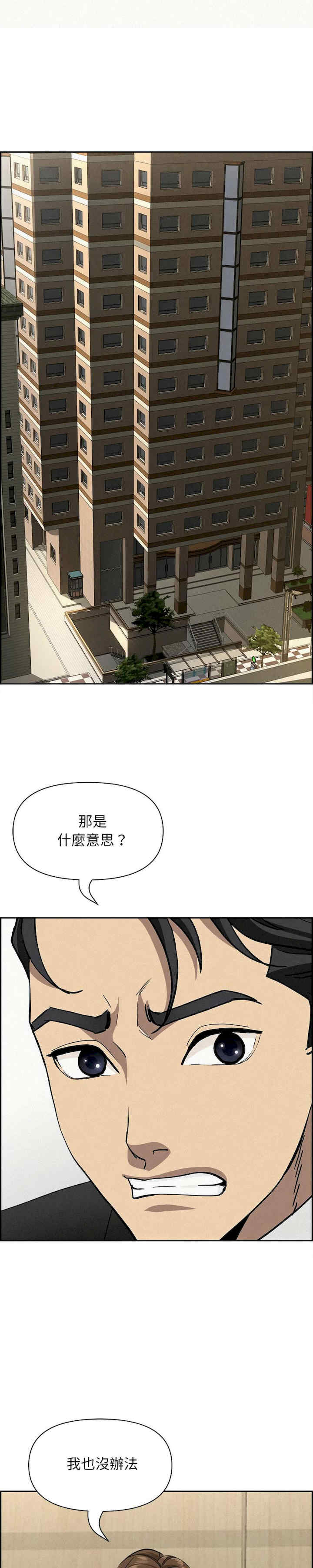 贵妇的专属保镖